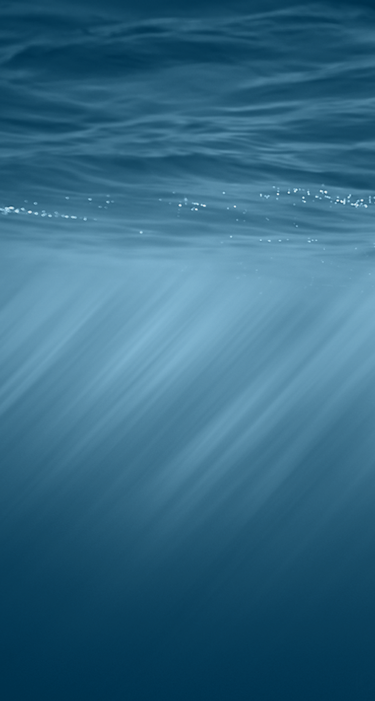 14357901925_fc8ebfd399_o.png