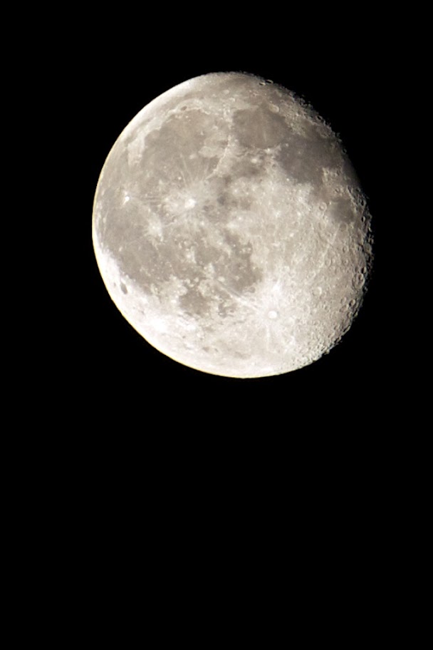 _MG_2861.jpg