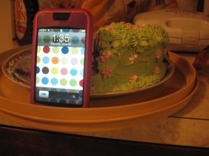IMG_6679_300.jpg