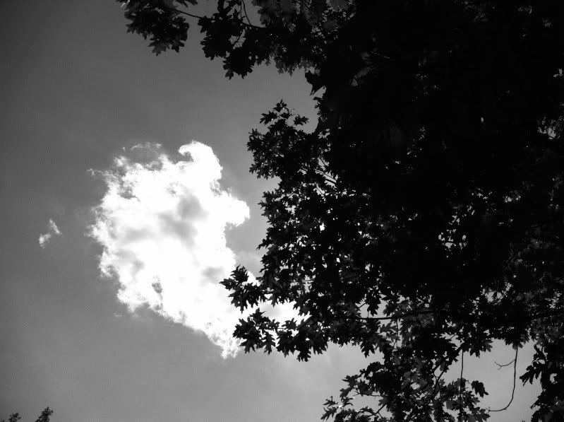 photo4.jpg