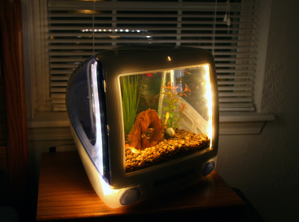 imacquarium.jpg