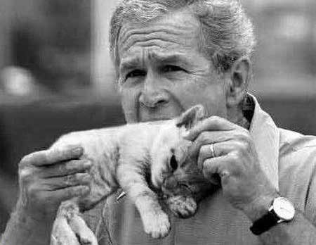 president-bush-eats-kitten-1259.jpg