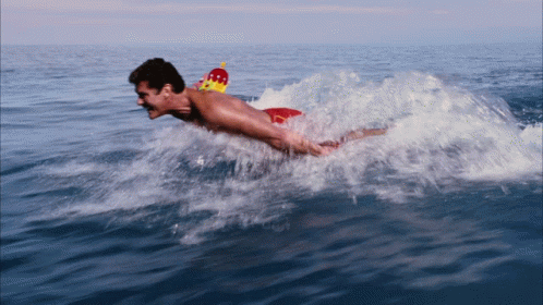 david-hasselhoff-david-hasselhoff-spongebob.gif