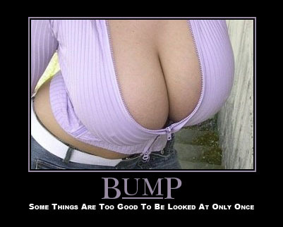 bd1b47c3_Bump3.jpg