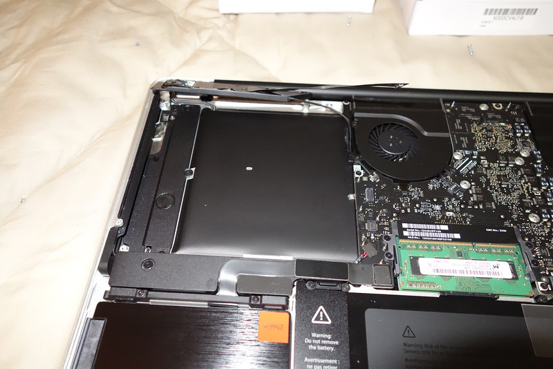 DSC00065-L.jpg