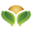 pulses.org