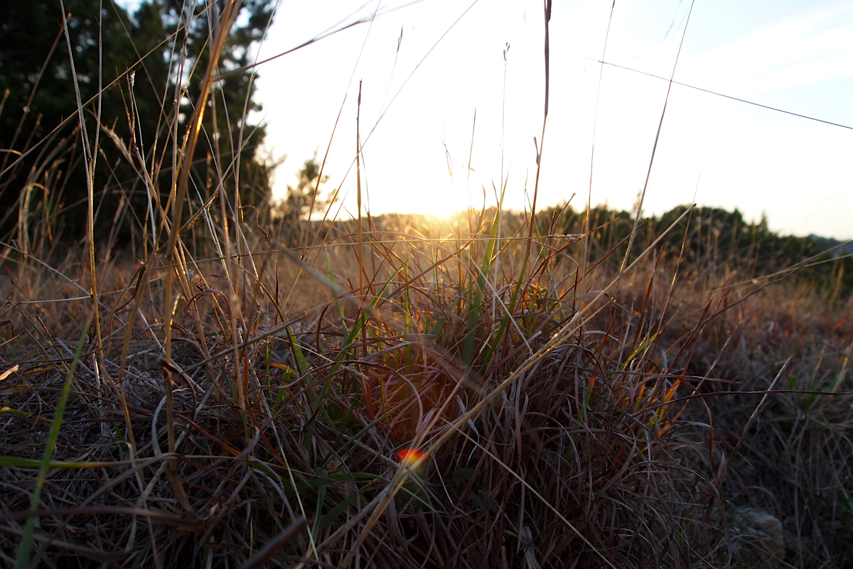 upon_the_ground_by_space_cat11-d36wybi.jpg