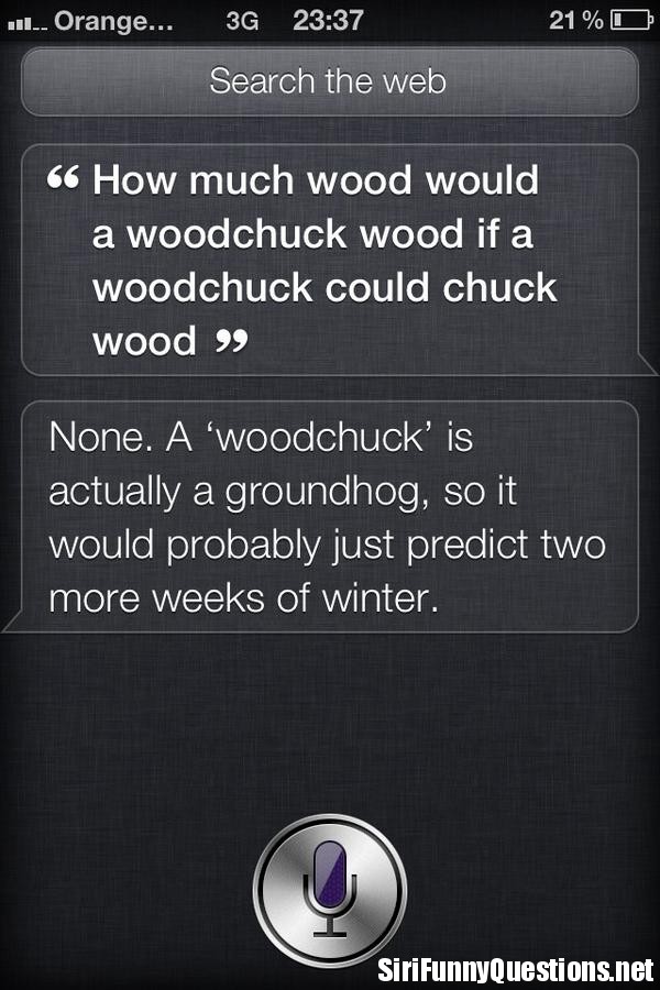 siri-woodchuck-groundhog.jpg
