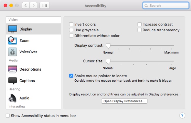 accessibilitymousepointer.jpg