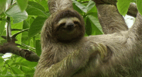 200w.gif