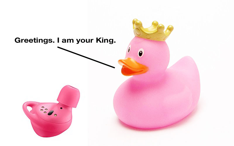 SamDucky.jpg