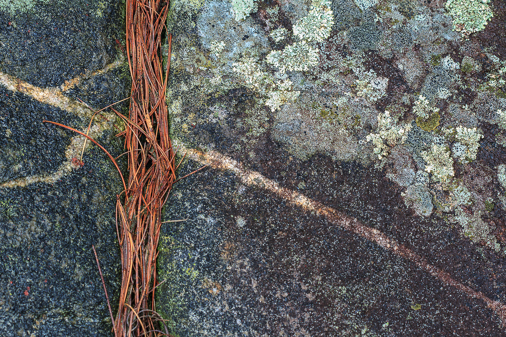 Lac_Simon_2013-5902-XL.jpg