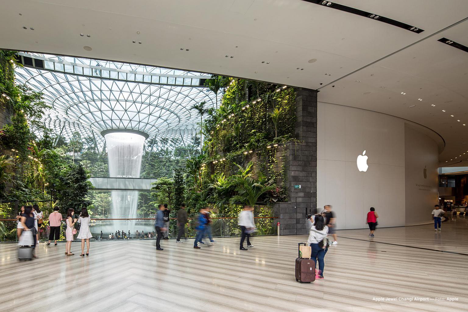 apple-jewel-changi-airport-singapore.jpeg