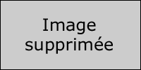 IMG_0055.png