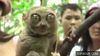 drama-gif-grab-the-popcorn-o.gif