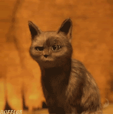 tumblr_mb9srfxz651ri7enpo1_250.gif