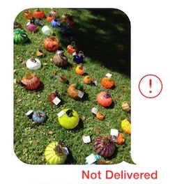 imessage_not_delivered_crop.jpg