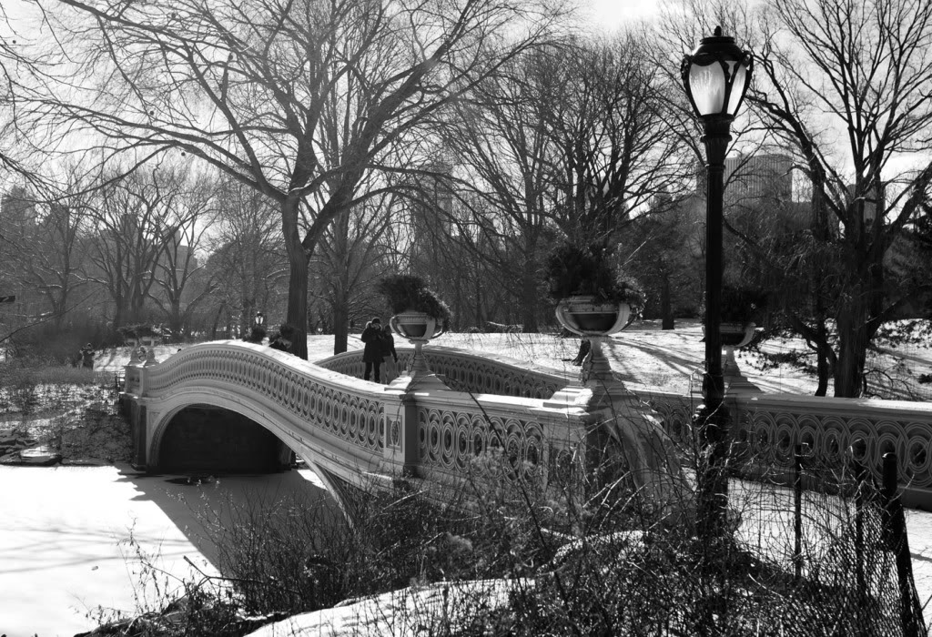 bowbridge4bw812c2.jpg
