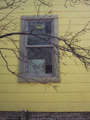 new_window_ext_framed2.jpg