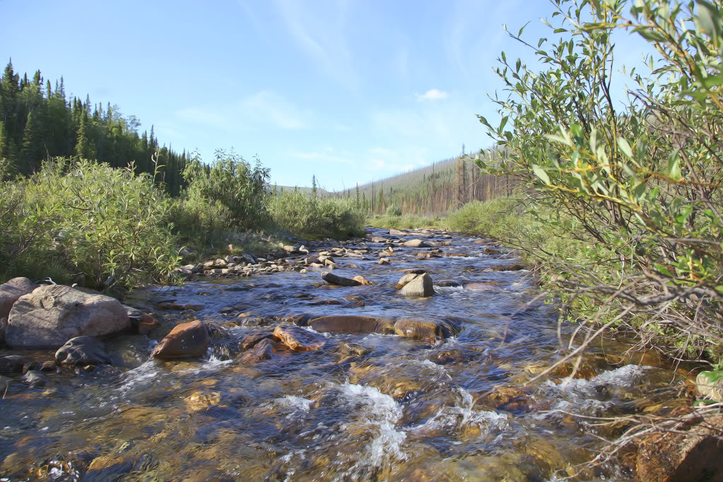 steese024.jpg