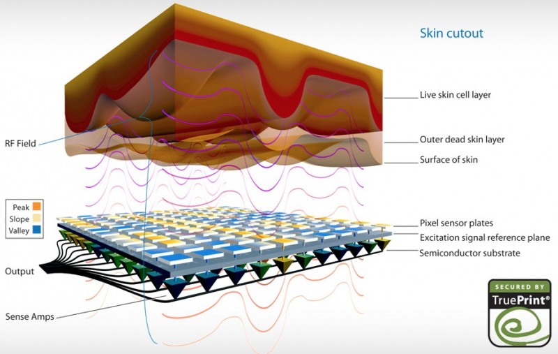 authentec_cross_section-800x507.jpg
