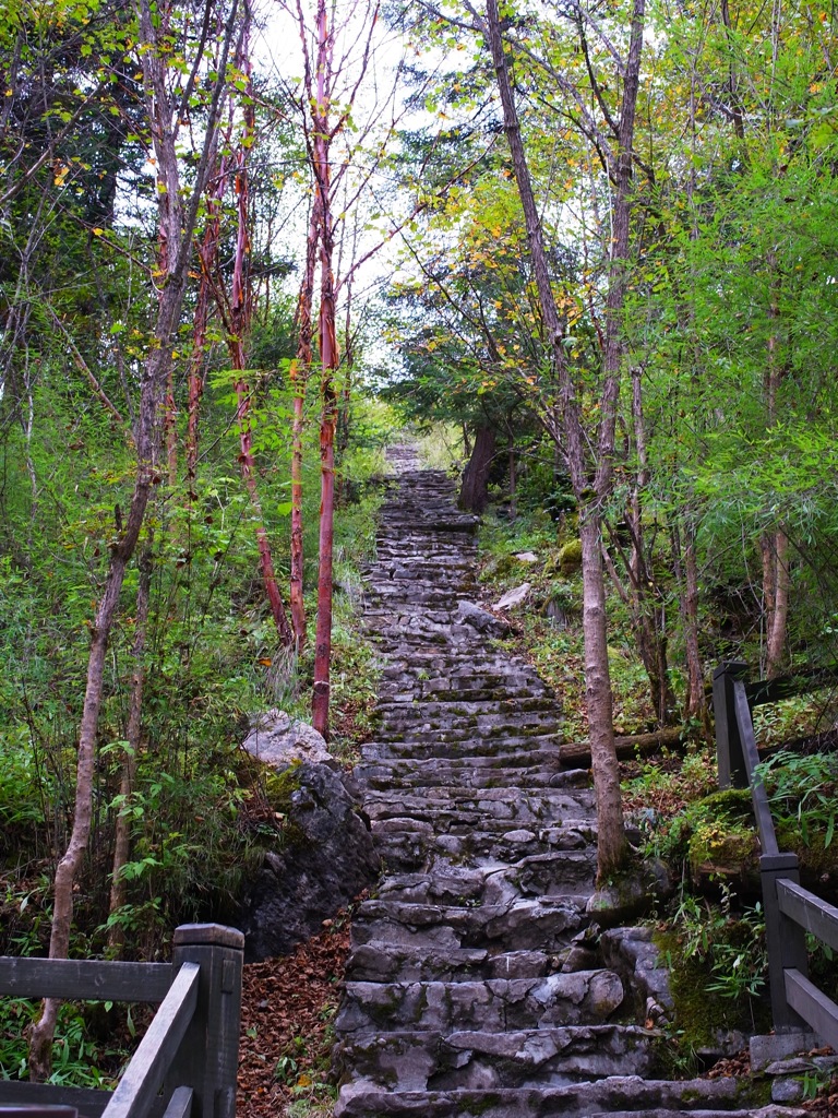 r0014223.jpg