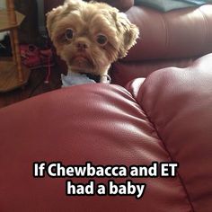 0dd38ff5677977ea5a1cc42496722eb1.jpg