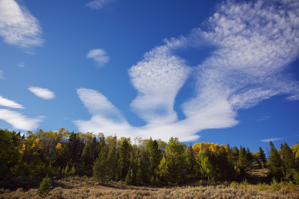 mtautumn182920110927162.jpg