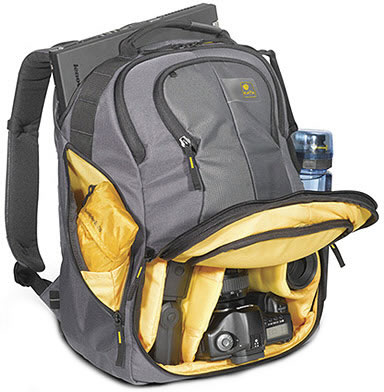 Bumblebee-210.jpg