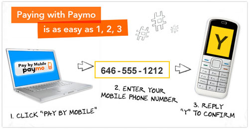 175234-mobilepayments.jpg