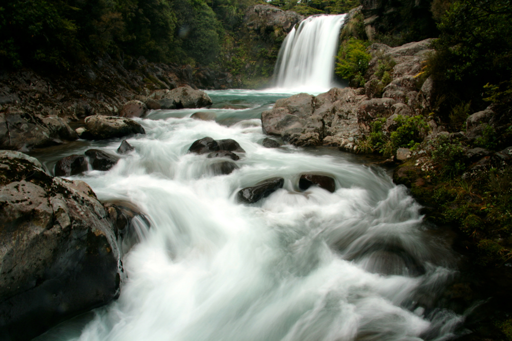 8096680661_0f7f01e16a_b.jpg