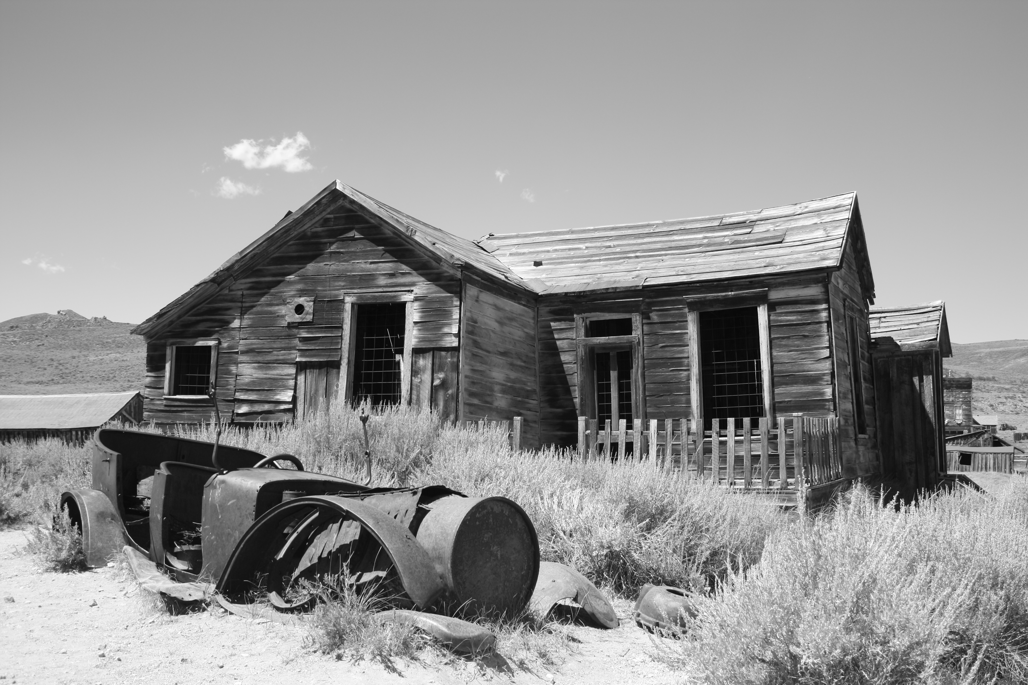 tioga-yosi-095.jpg
