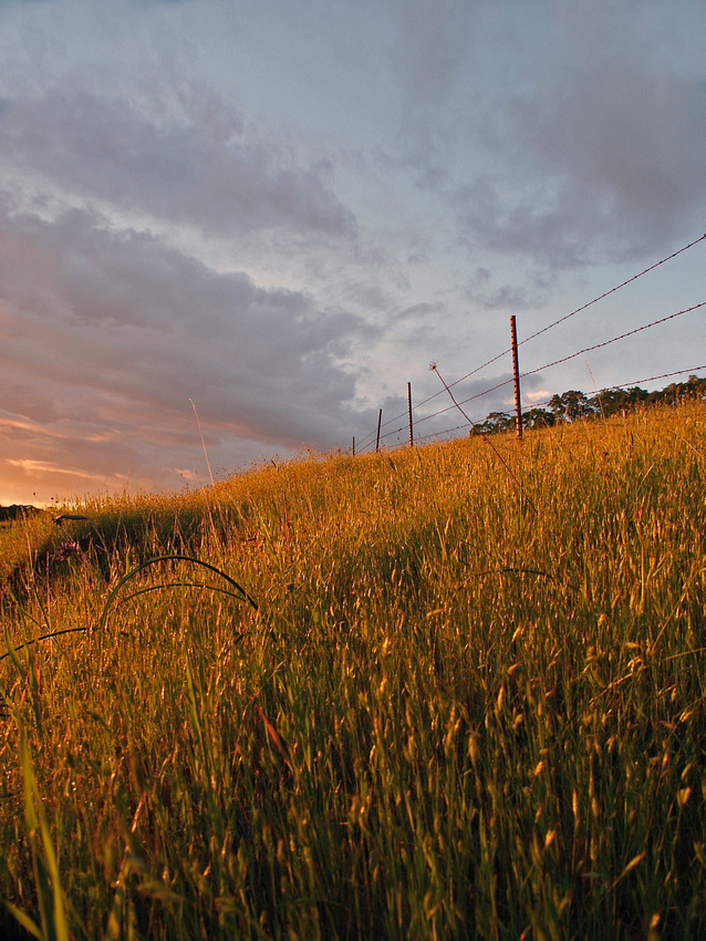 p906326675-5.jpg