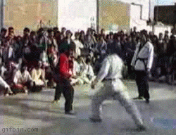 1237643363_kung-fu.gif