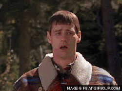 tumblr_nanvnigQgr1s0my1wo1_250.gif