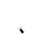 crawlingBug-avatar.gif