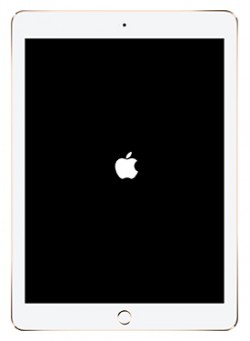 iPad-boot-up-250x341.jpg