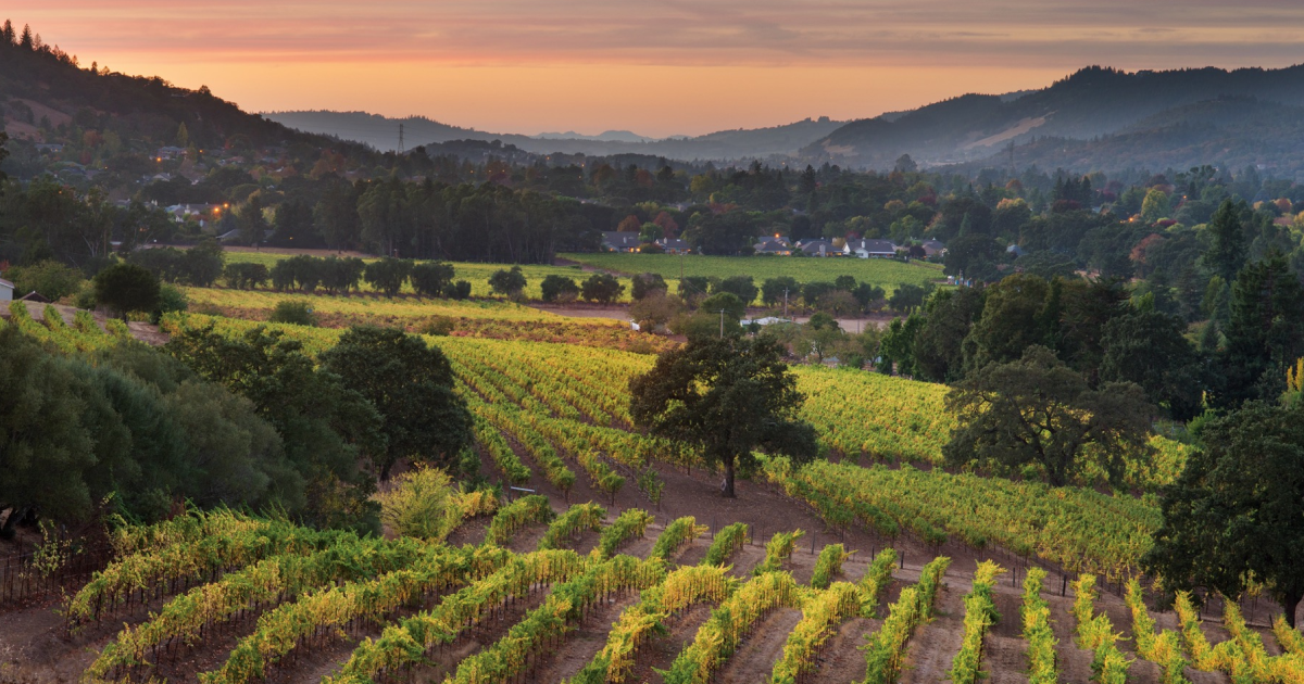 www.landmarkwine.com