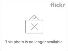 290633142_ce7ed49f8f_m.jpg