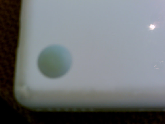 PICT0379.JPG