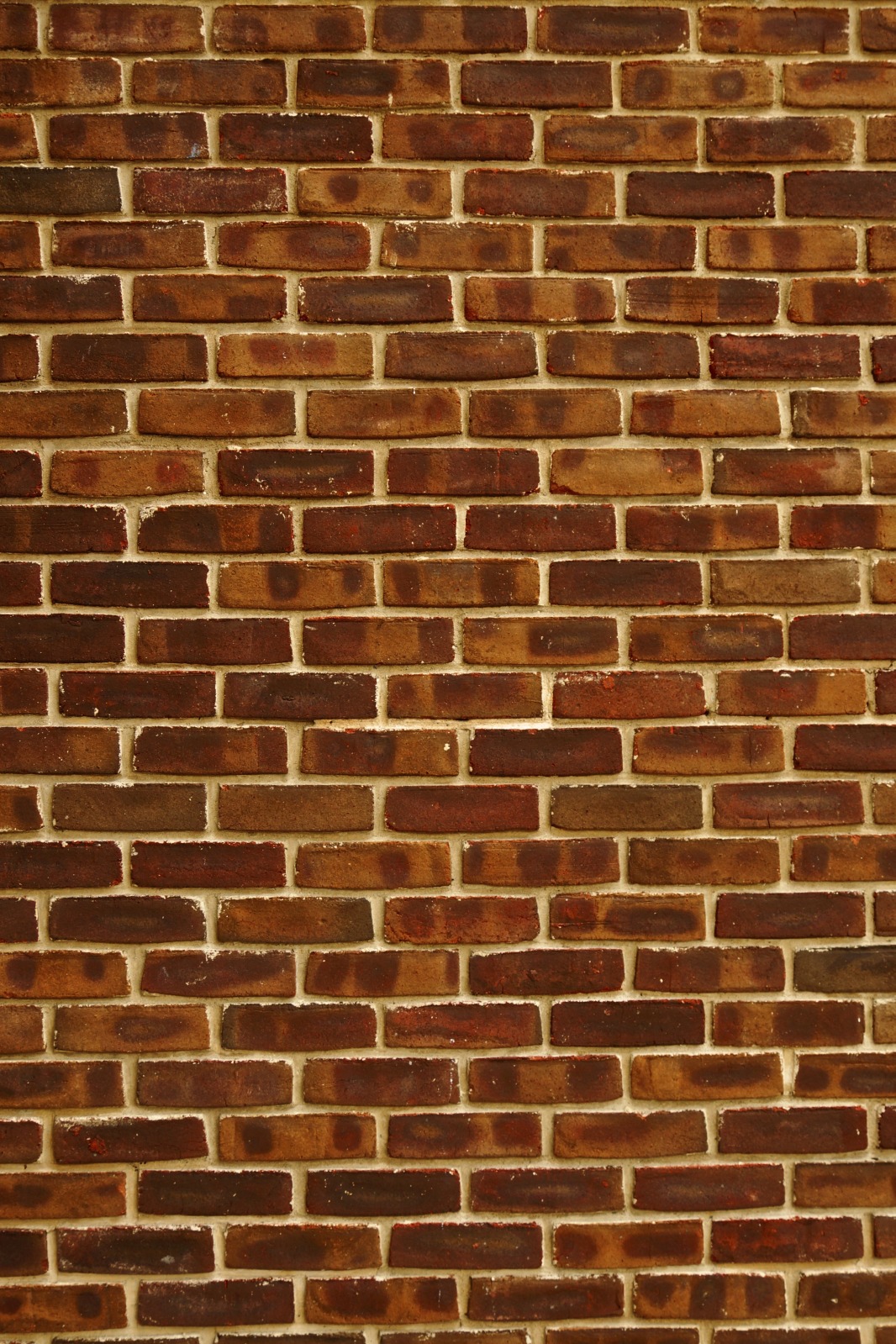 24exnqb.jpg
