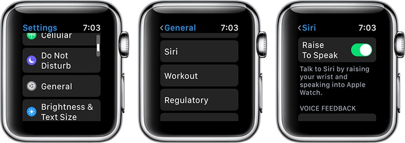 siriraisetospeak-800x282.jpg