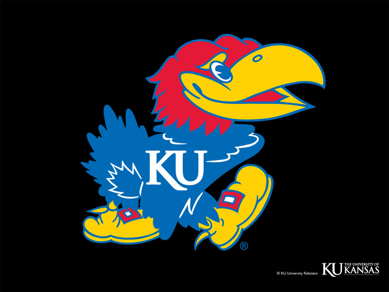 ku_jayhawk_800x600.jpg
