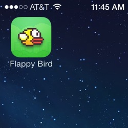 flappybird.jpg