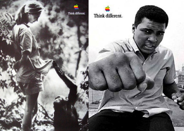 think-different-ali-goodall.jpg