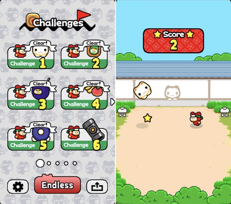 ninja-flappy-bird-800x708.jpg