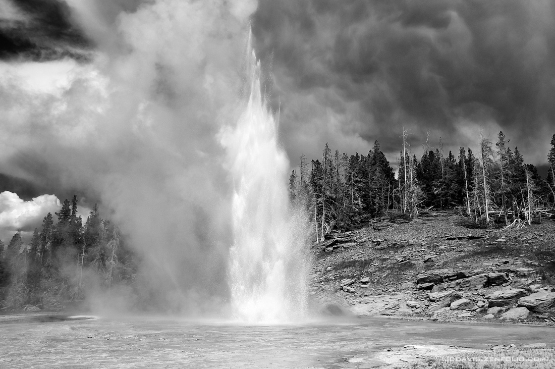p1707733528-5.jpg