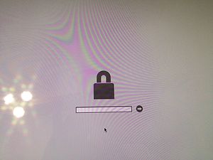 efi-password-lock.jpg