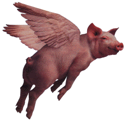 flyingpig1.gif