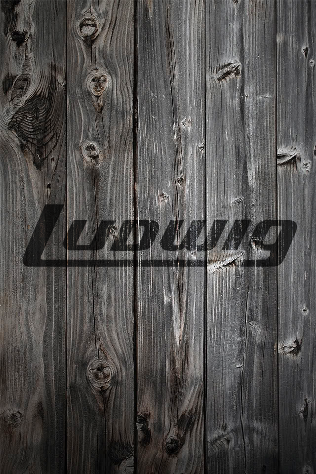 ludwig.png